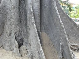 270521_10150256140879901_8023528_n